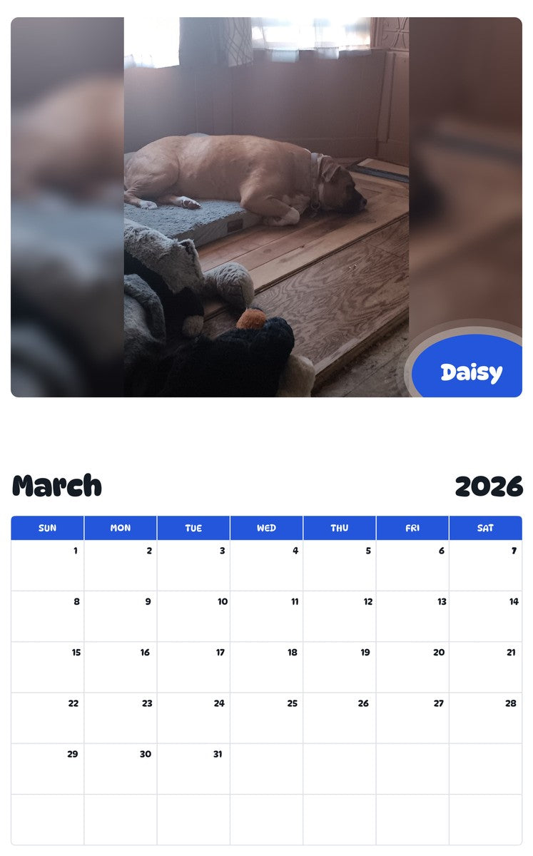 November 2025 - October 2026 Daisy - Pawidols Pet Calendar