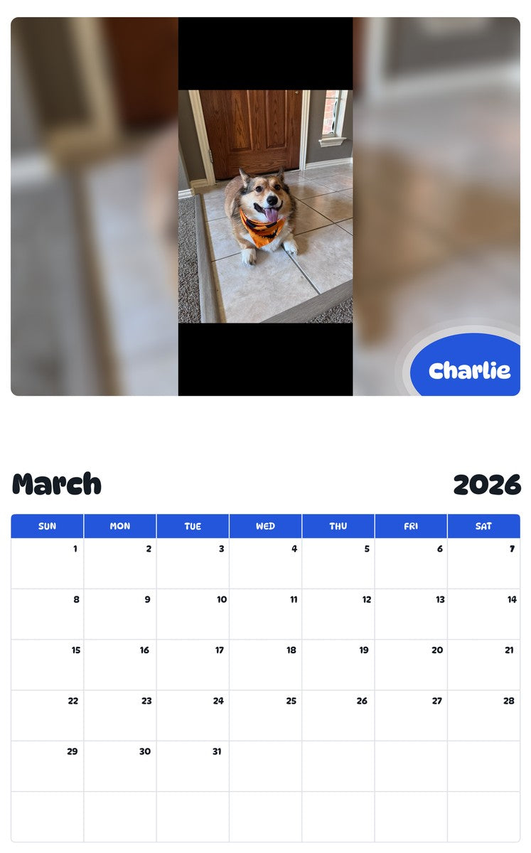 November 2025 - October 2026 Charlie - Pawidols Pet Calendar