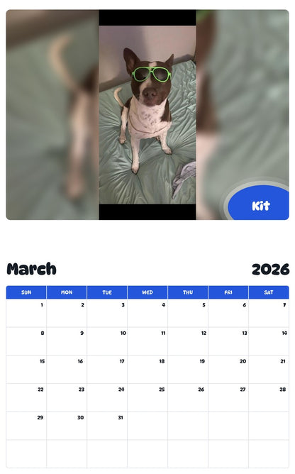 November 2025 - October 2026 Kit - Pawidols Pet Calendar