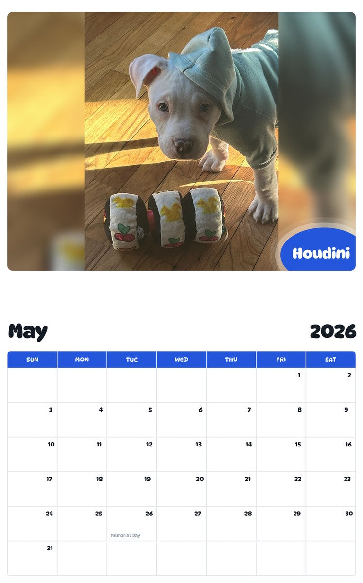 2026 - 2027 Houdini - Pawidols Pet Calendar