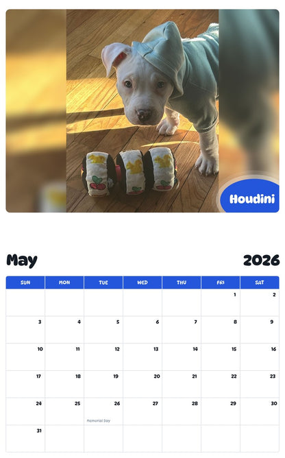 2026 - 2027 Houdini - Pawidols Pet Calendar