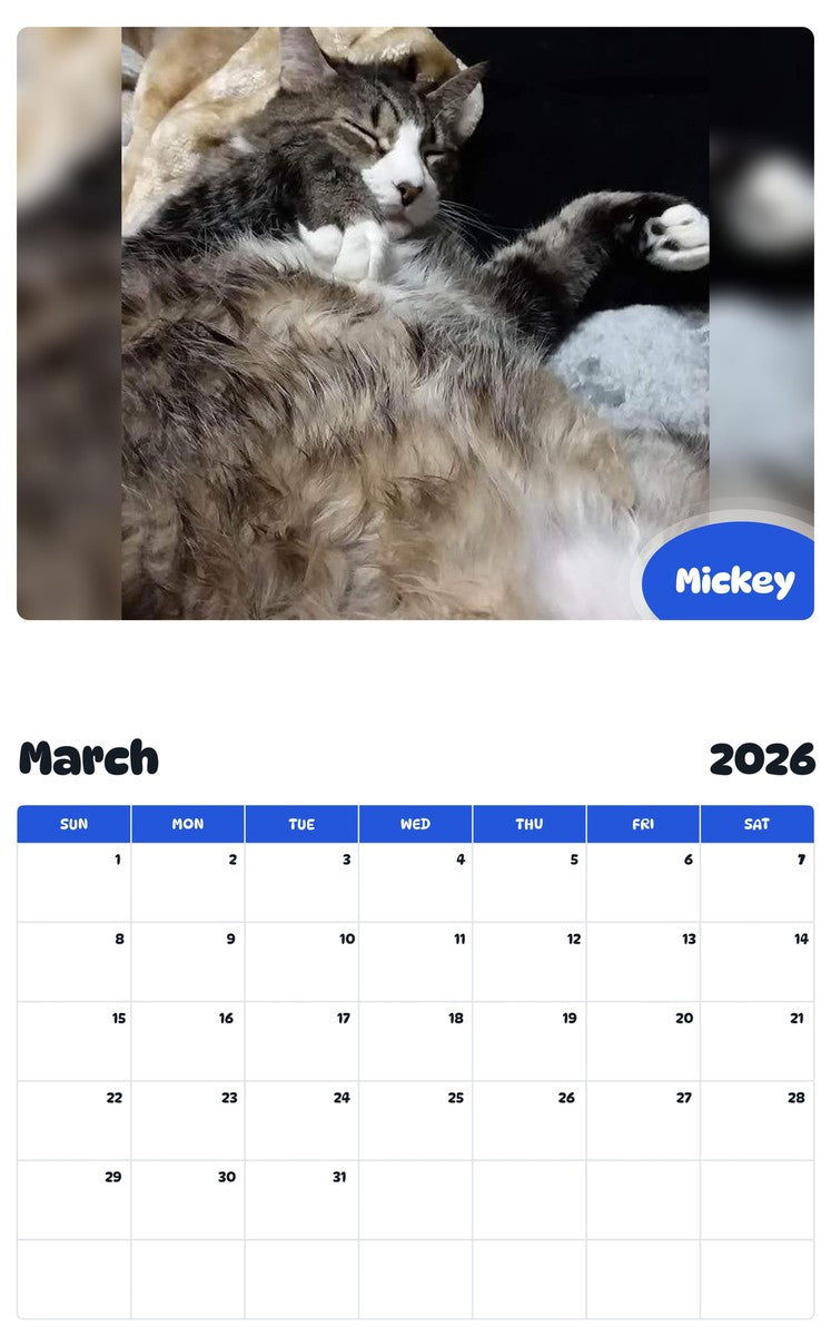November 2025 - October 2026 Mickey - Pawidols Pet Calendar