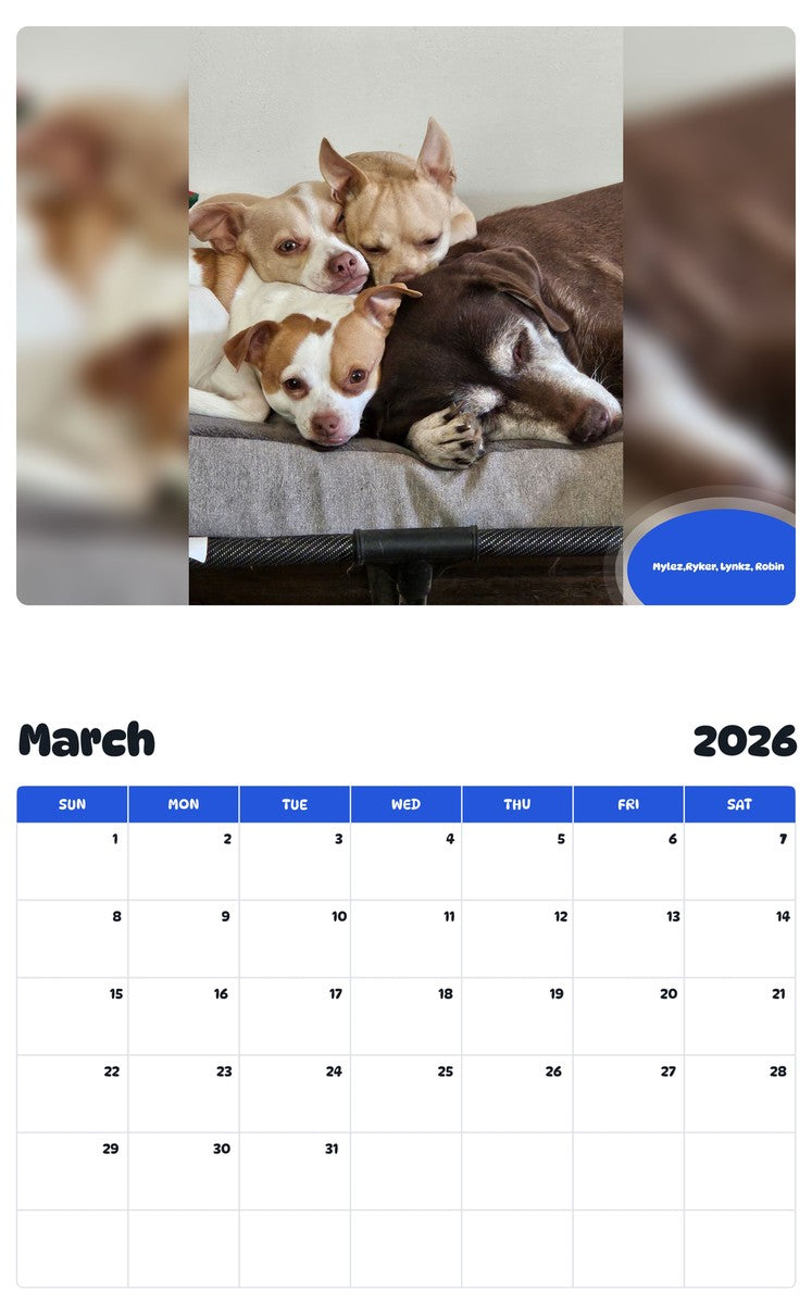 November 2025 - October 2026 Mylez,Ryker, Lynkz, Robin - Pawidols Pet Calendar