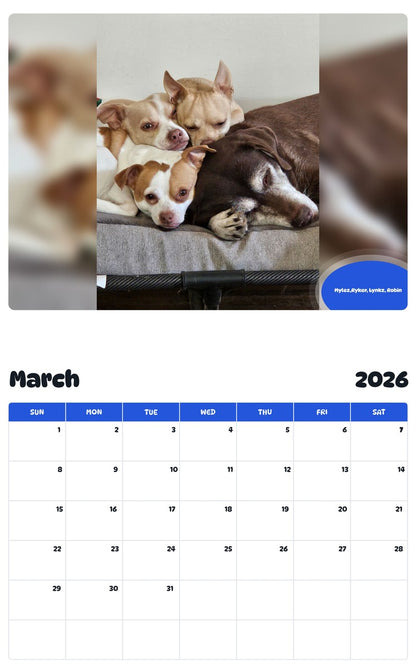 November 2025 - October 2026 Mylez,Ryker, Lynkz, Robin - Pawidols Pet Calendar