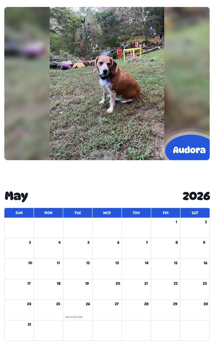 2026 - 2027 Audora - Pawidols Pet Calendar