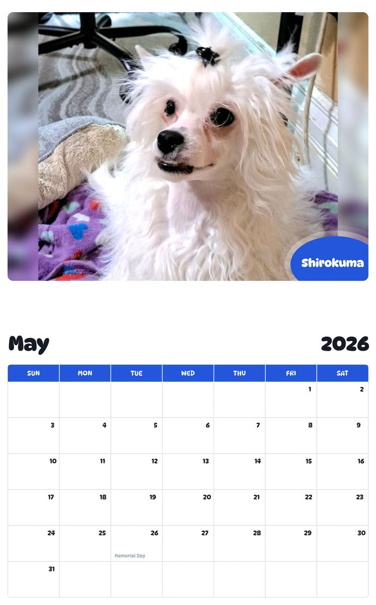 2026 - 2027 Shirokuma - Pawidols Pet Calendar