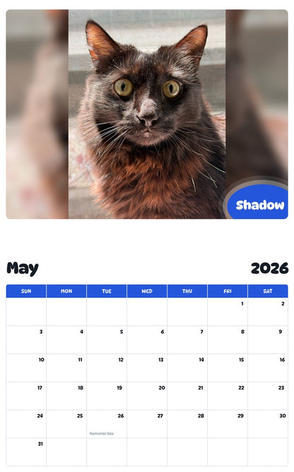 2026 - 2027 Shadow - Pawidols Pet Calendar