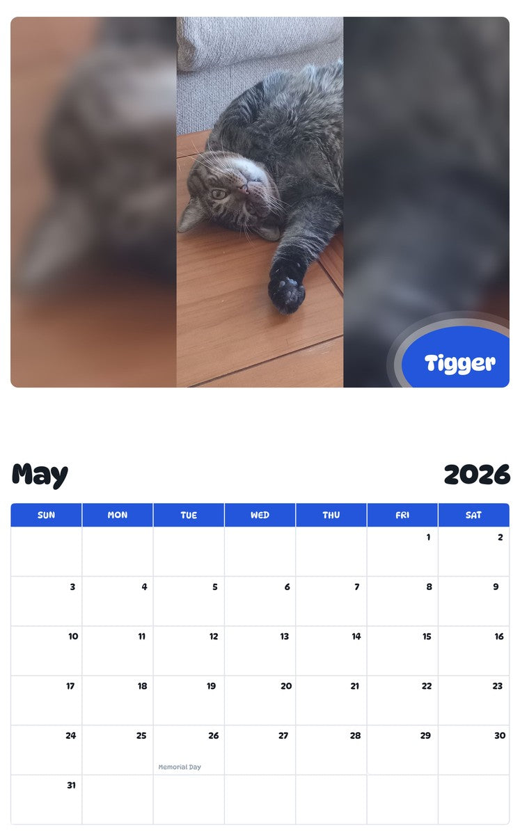 2026 - 2027 Tigger - Pawidols Pet Calendar