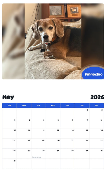 2026 - 2027 Pinnochio - Pawidols Pet Calendar