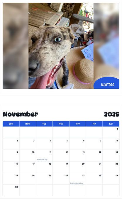 July 2025 - June 2026 Kaytee - Pawidols Pet Calendar