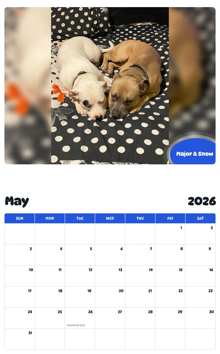 2026 - 2027 Major & Snow - Pawidols Pet Calendar