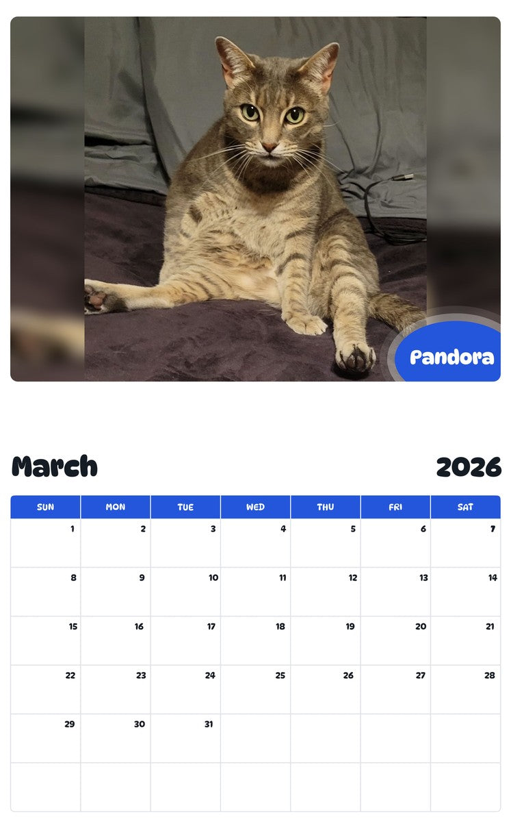November 2025 - October 2026 Pandora - Pawidols Pet Calendar