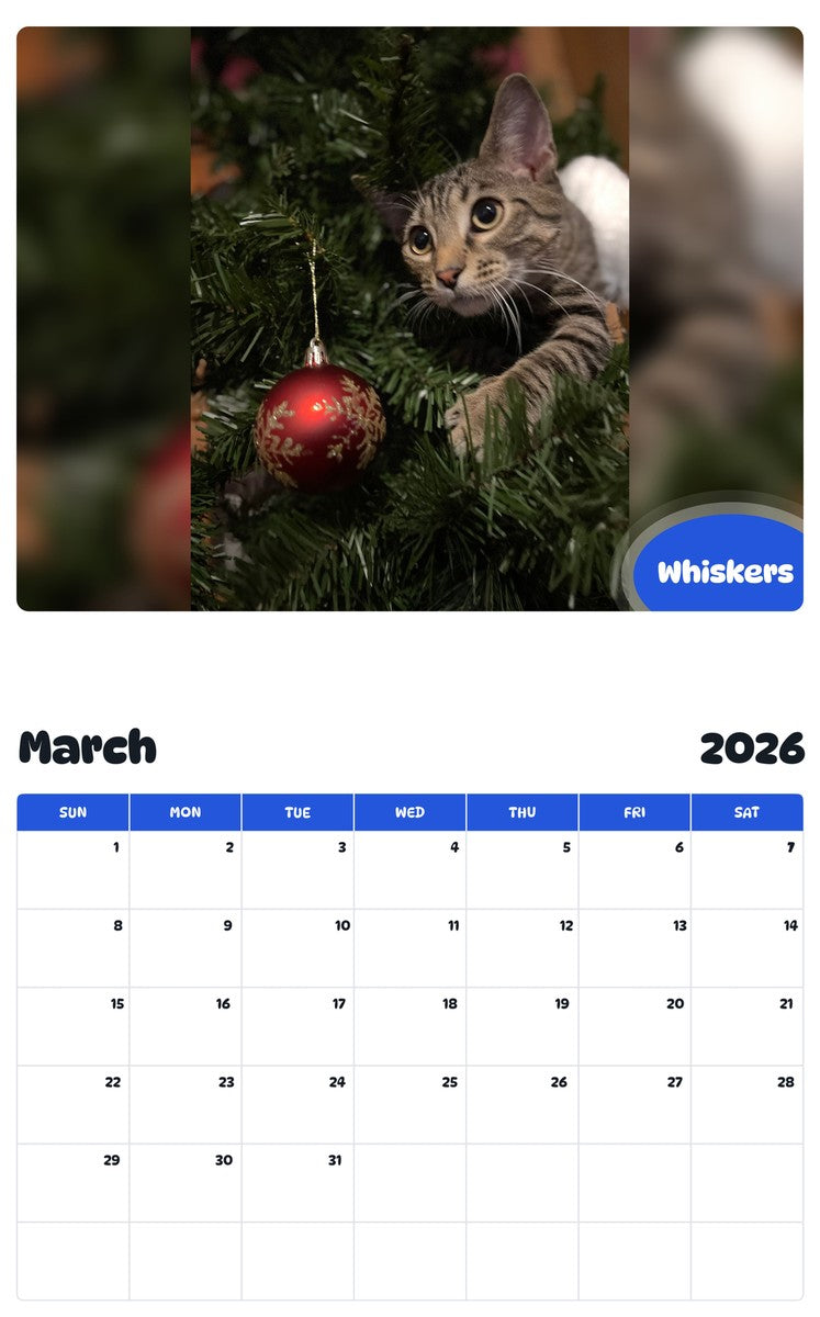 November 2025 - October 2026 Whiskers - Pawidols Pet Calendar