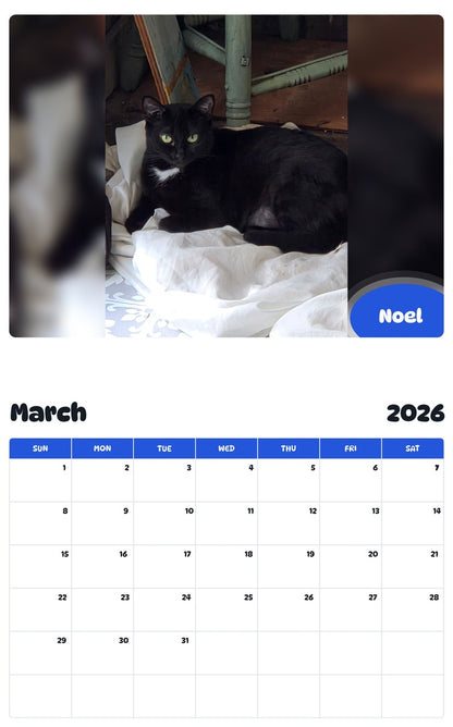 November 2025 - October 2026 Noel - Pawidols Pet Calendar