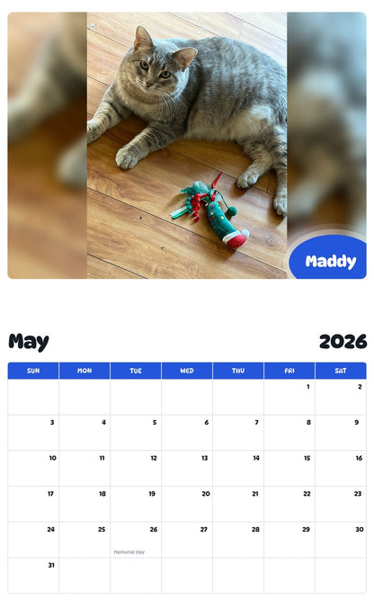 2026 - 2027 Maddy - Pawidols Pet Calendar