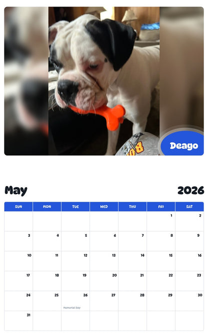 2026 - 2027 Deago - Pawidols Pet Calendar