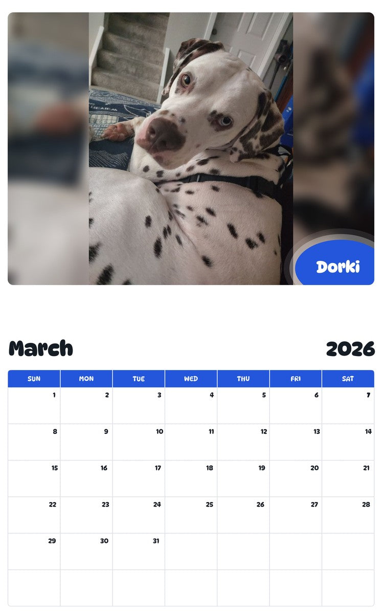 November 2025 - October 2026 Dorki - Pawidols Pet Calendar