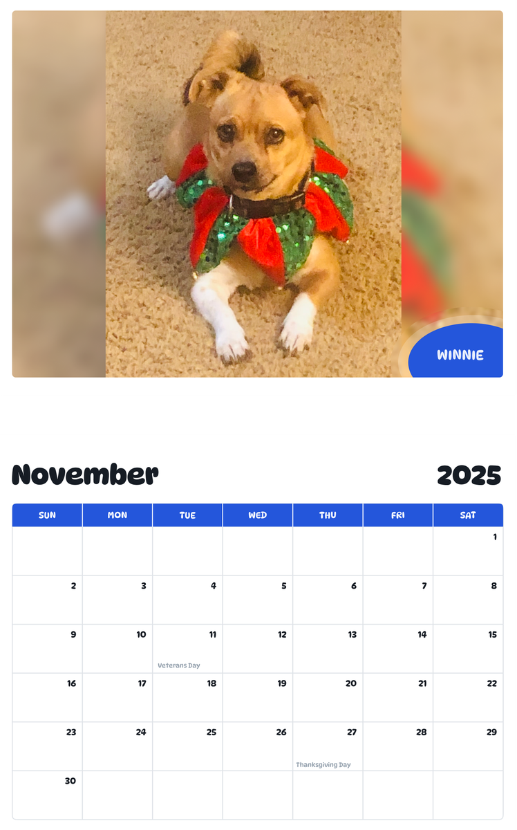July 2025 - June 2026 Winnie - Pawidols Pet Calendar
