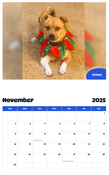 July 2025 - June 2026 Winnie - Pawidols Pet Calendar