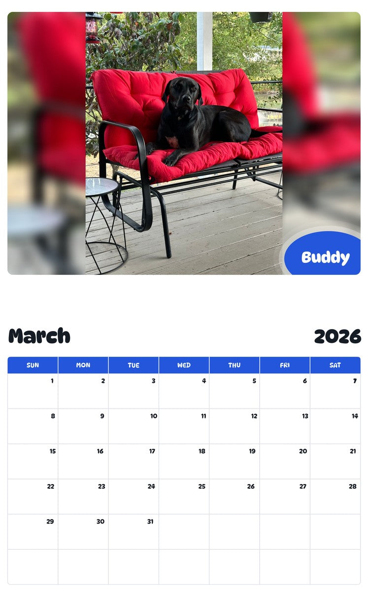 November 2025 - October 2026 Buddy - Pawidols Pet Calendar