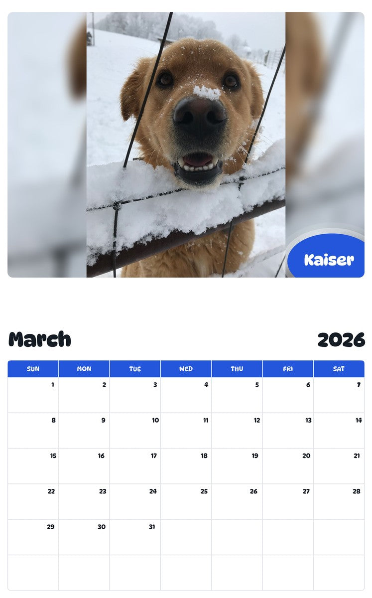 November 2025 - October 2026 Kaiser - Pawidols Pet Calendar