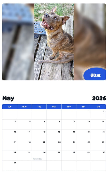 2026 - 2027 Blue - Pawidols Pet Calendar