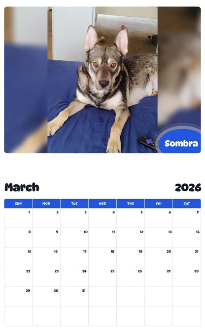 November 2025 - October 2026 Sombra - Pawidols Pet Calendar