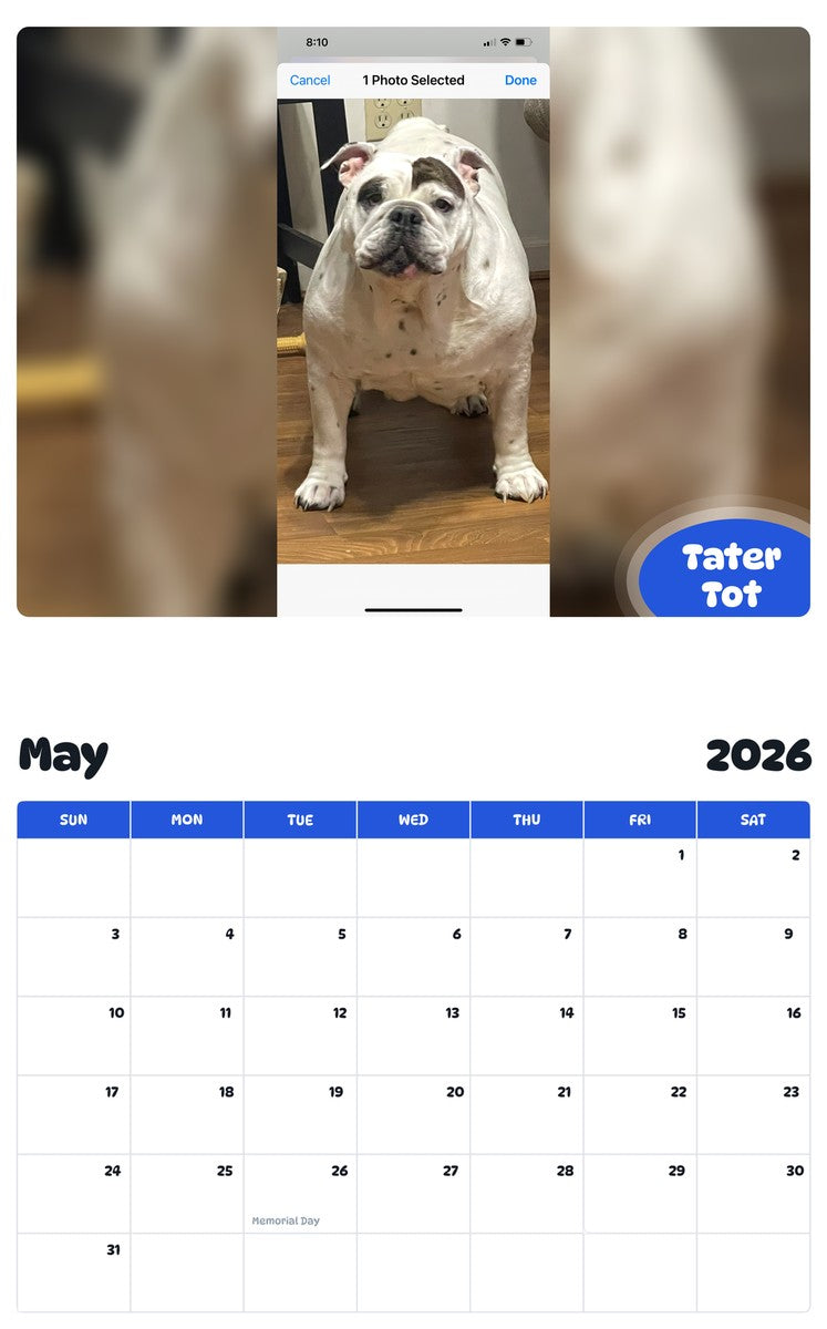 2026 - 2027 Tater Tot - Pawidols Pet Calendar