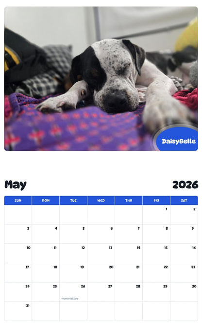 2026 - 2027 DaisyBelle - Pawidols Pet Calendar