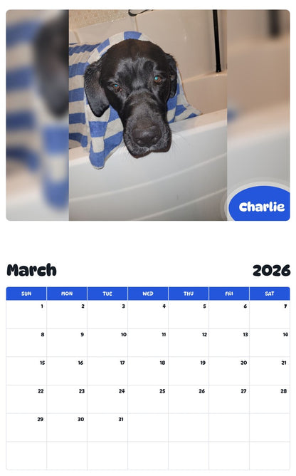 November 2025 - October 2026 Charlie - Pawidols Pet Calendar