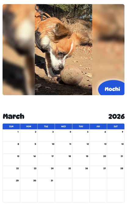 November 2025 - October 2026 Mochi - Pawidols Pet Calendar