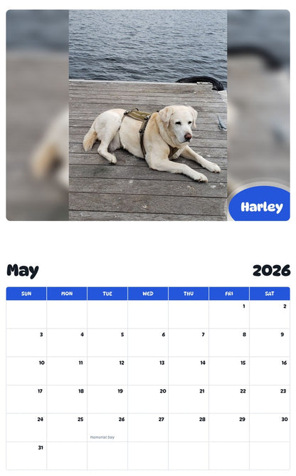 2026 - 2027 Harley - Pawidols Pet Calendar