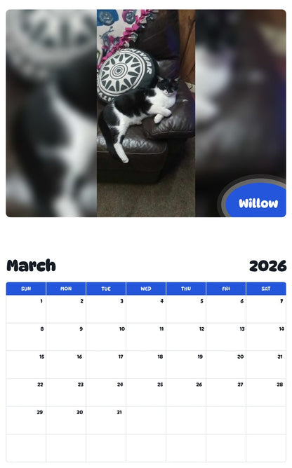 November 2025 - October 2026 Willow - Pawidols Pet Calendar