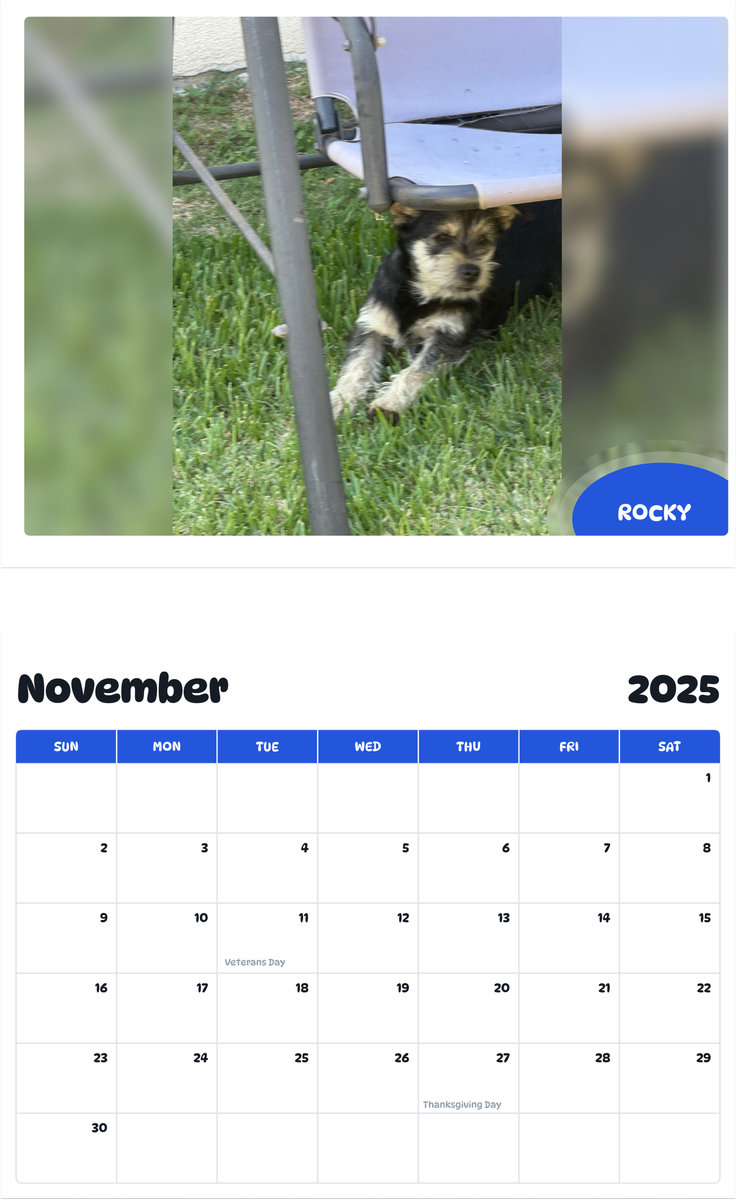July 2025 - June 2026 Rocky - Pawidols Pet Calendar