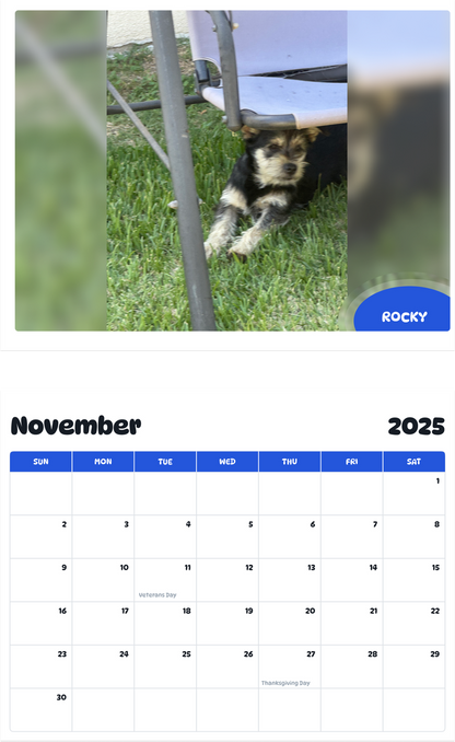 July 2025 - June 2026 Rocky - Pawidols Pet Calendar