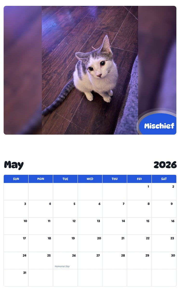 2026 - 2027 Mischief - Pawidols Pet Calendar