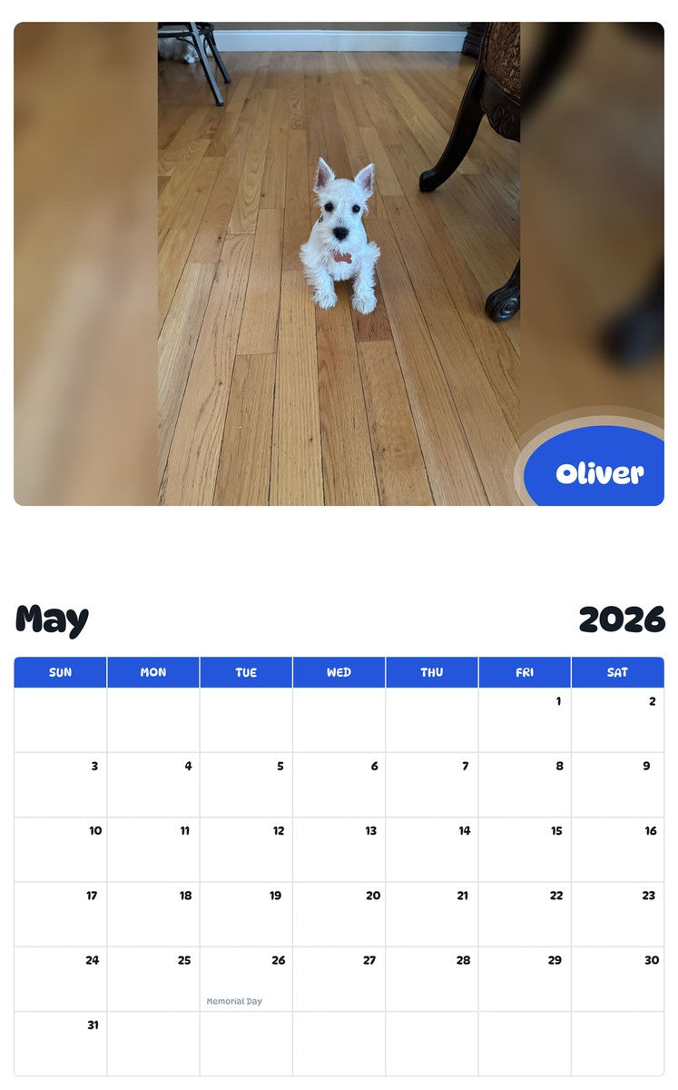 2026 - 2027 Oliver - Pawidols Pet Calendar