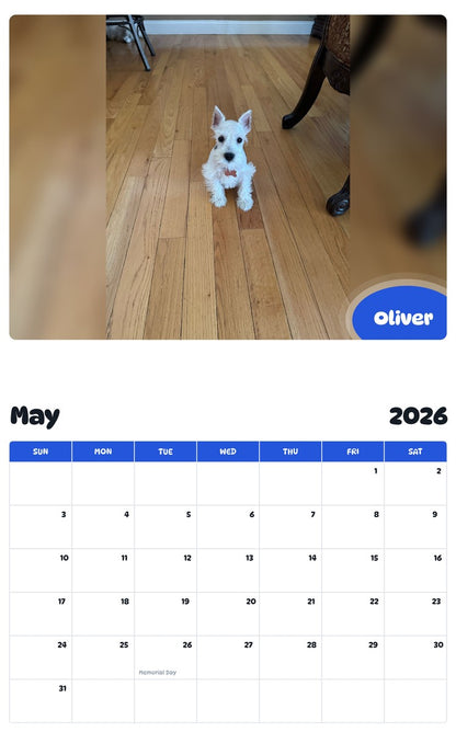2026 - 2027 Oliver - Pawidols Pet Calendar