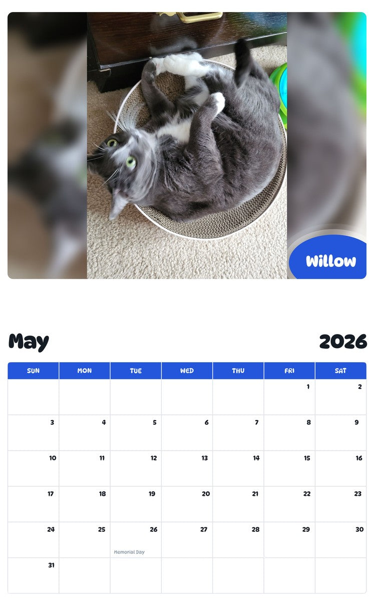 2026 - 2027 Willow - Pawidols Pet Calendar