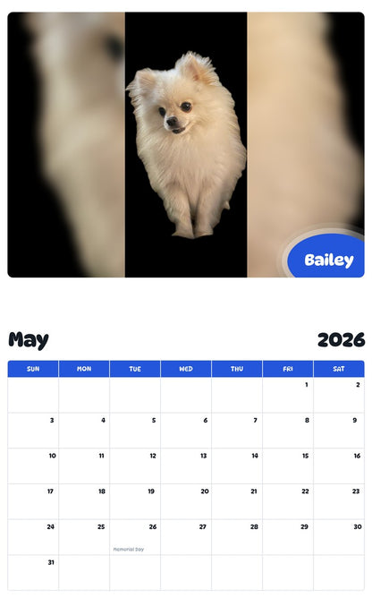 2026 - 2027 Bailey - Pawidols Pet Calendar