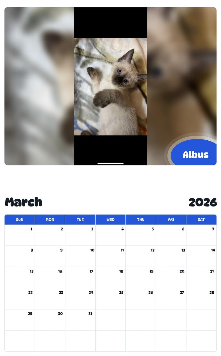 November 2025 - October 2026 Albus - Pawidols Pet Calendar