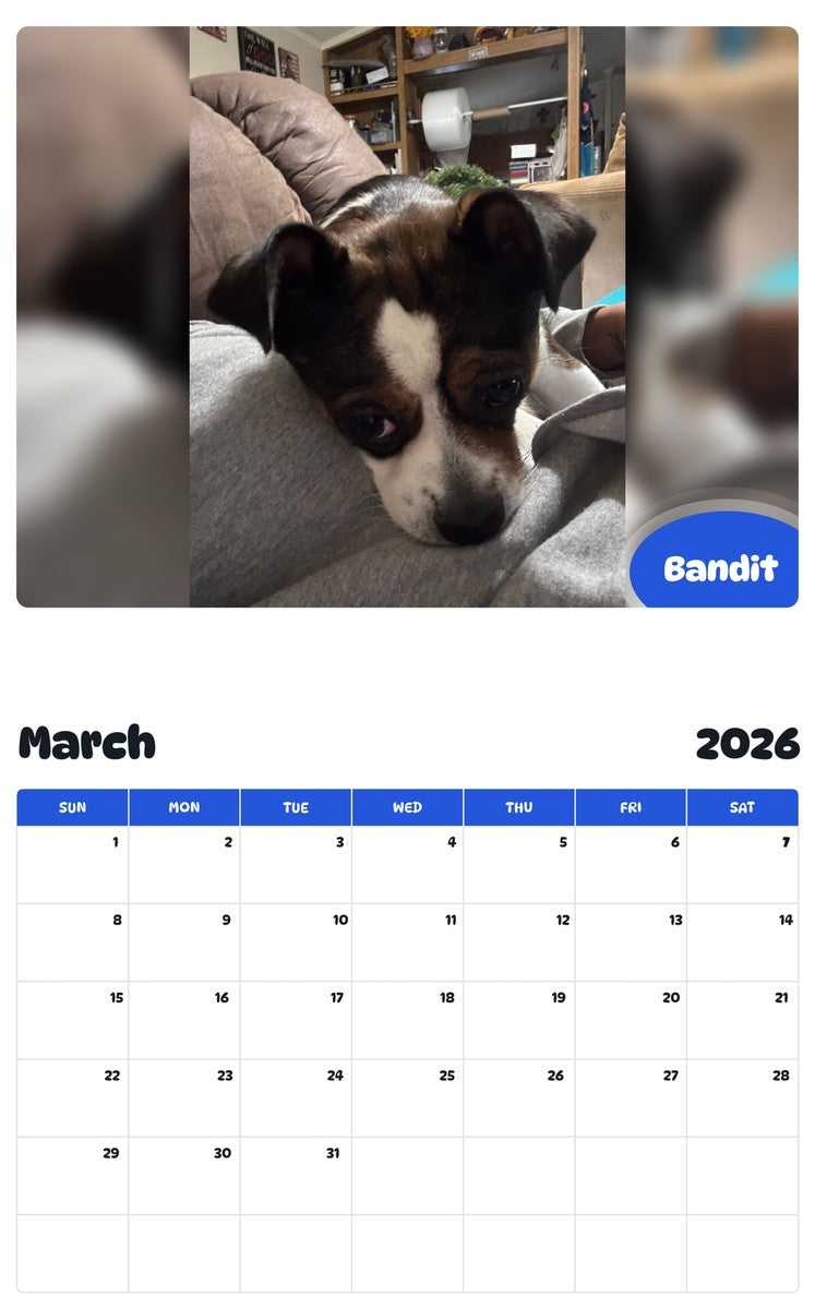 November 2025 - October 2026 Bandit - Pawidols Pet Calendar