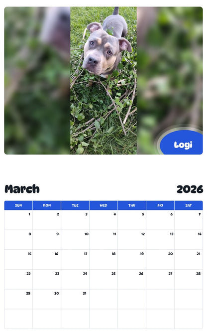 November 2025 - October 2026 Logi - Pawidols Pet Calendar