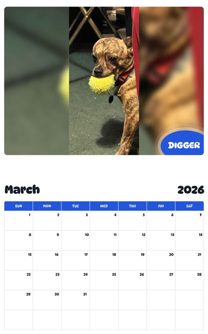 November 2025 - October 2026 DIGGER - Pawidols Pet Calendar