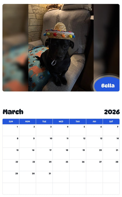 November 2025 - October 2026 Bella - Pawidols Pet Calendar
