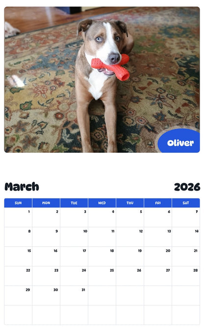 November 2025 - October 2026 Oliver - Pawidols Pet Calendar