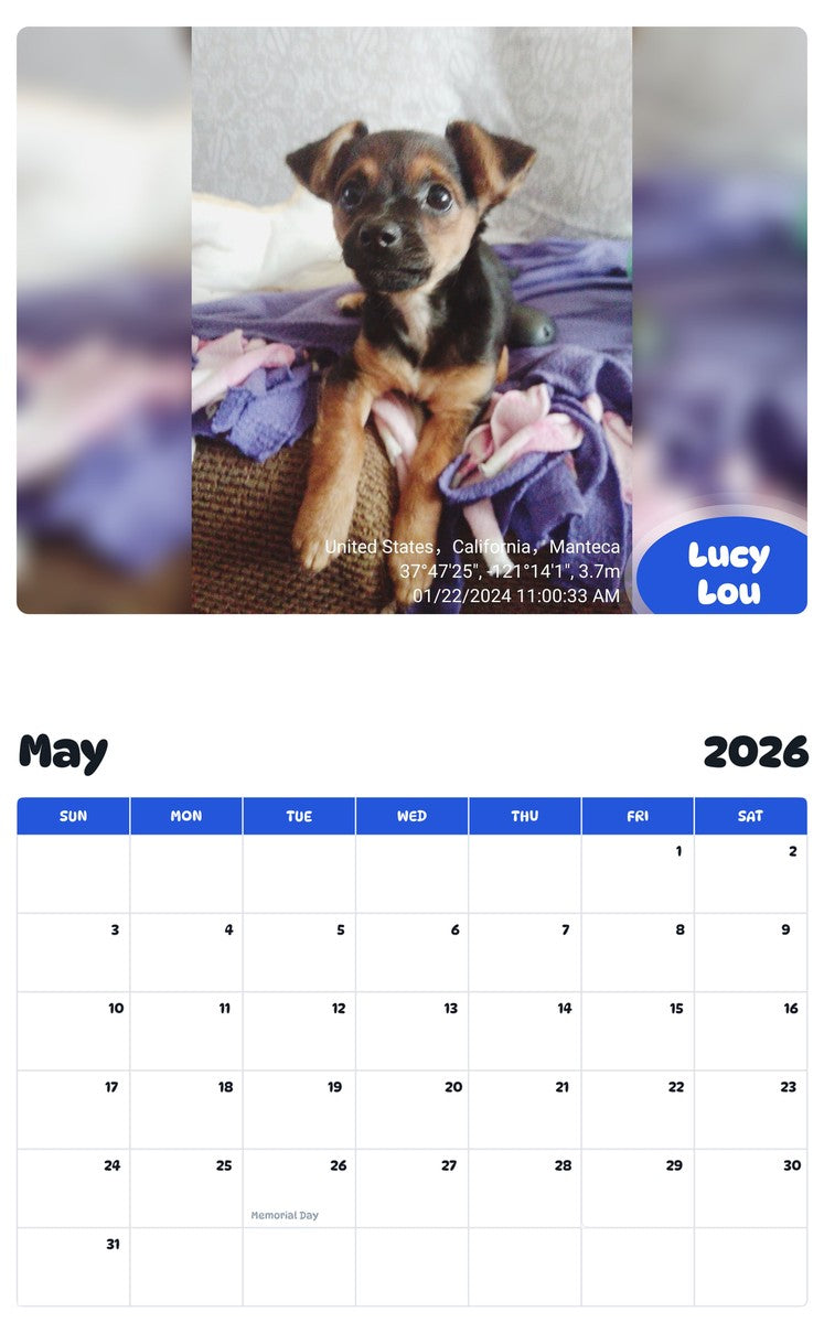 2026 - 2027 Lucy Lou - Pawidols Pet Calendar