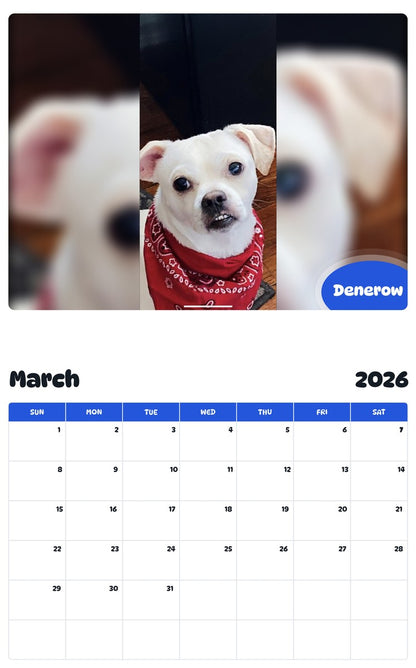 November 2025 - October 2026 Denerow - Pawidols Pet Calendar