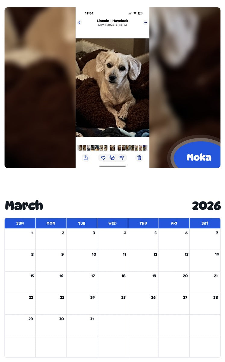 November 2025 - October 2026 Moka - Pawidols Pet Calendar