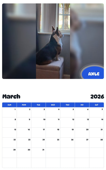 November 2025 - October 2026 AXLE - Pawidols Pet Calendar